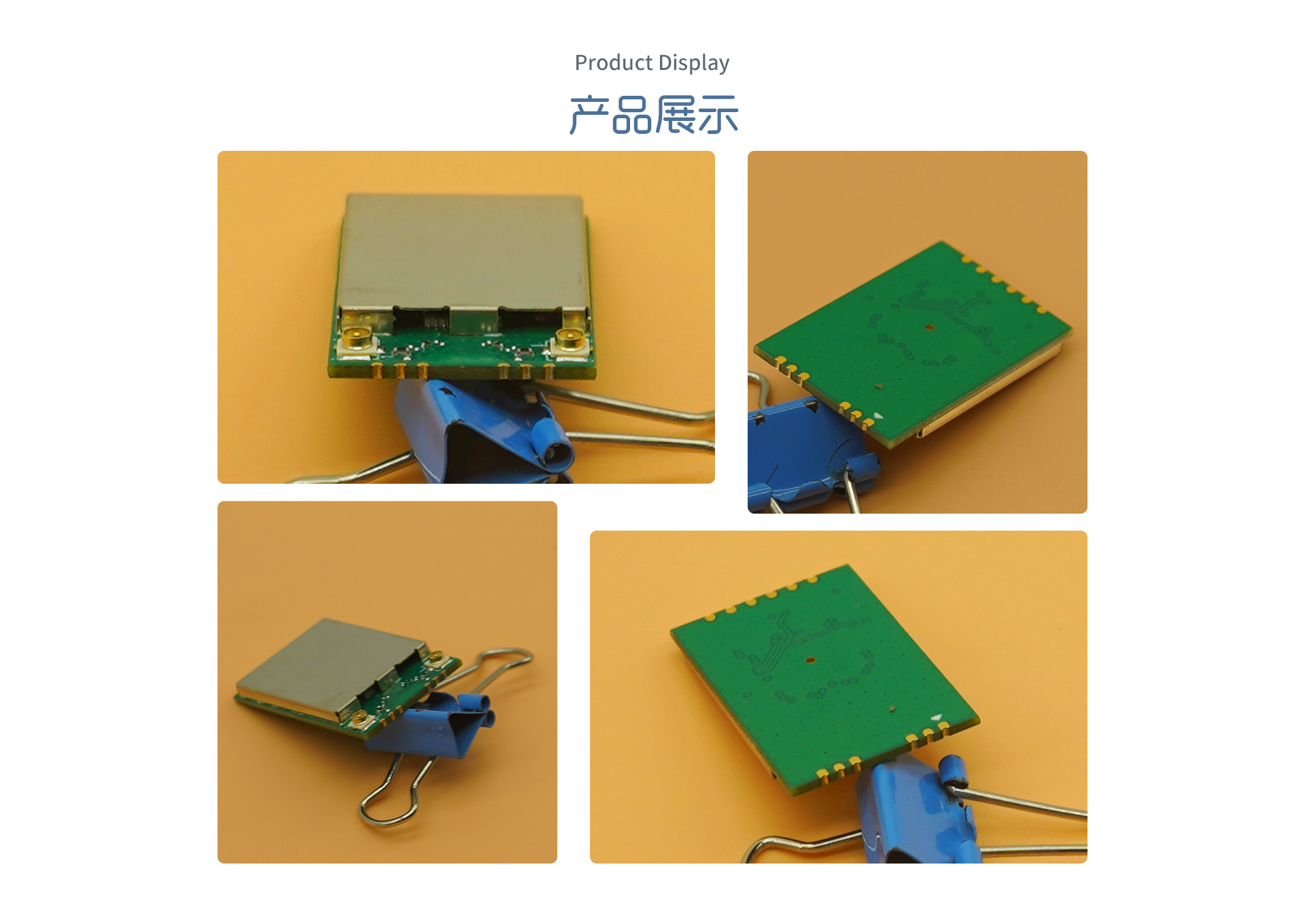 CSW2203_08.jpg CSW2203_08.jpg