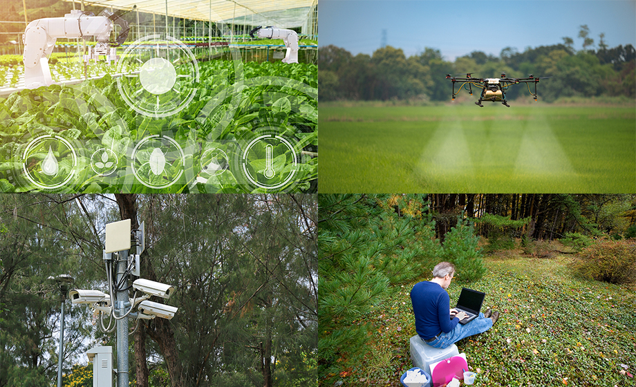 Remote transmission wifi module farmland/forest wireless AD hoc networking Remote transmission wifi module farmland/forest wireless AD hoc networking