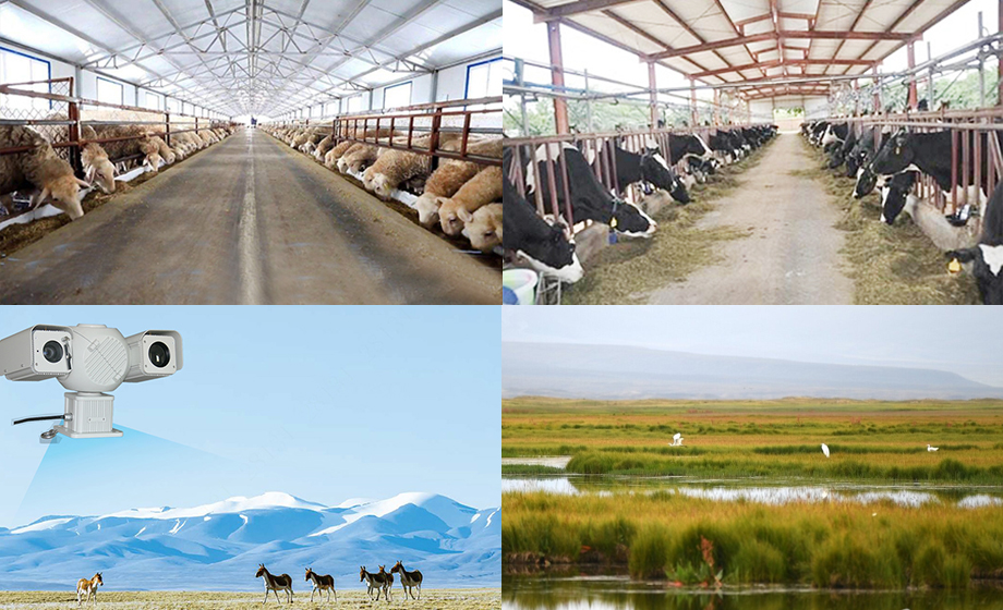 8公里無線通信模塊視頻監(jiān)控養(yǎng)殖場/自然保護(hù)區(qū)無線傳輸 8公里無線通信模塊視頻監(jiān)控養(yǎng)殖場/自然保護(hù)區(qū)無線傳輸